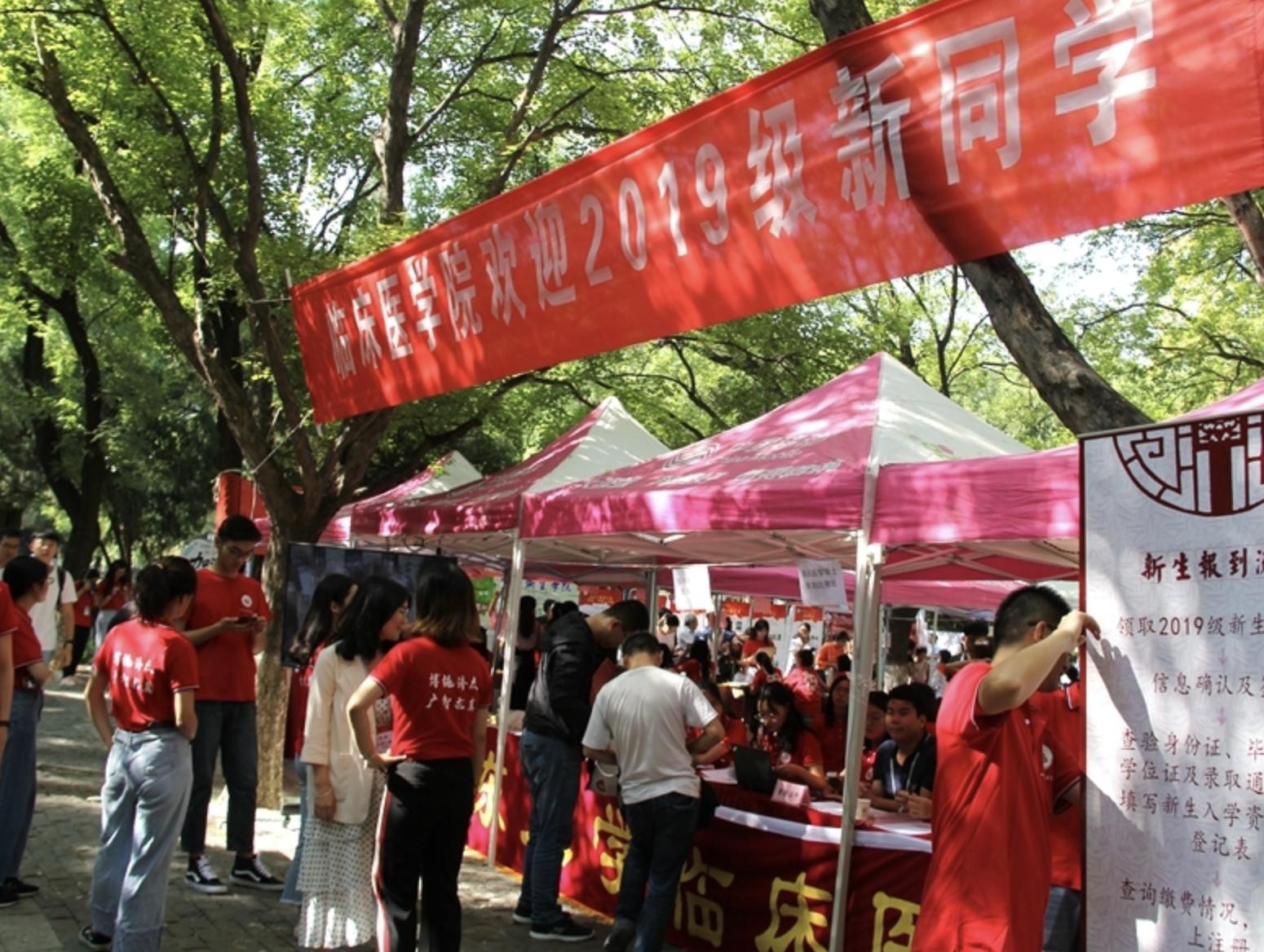 山东高考分数线公布,梦想与现实的交汇 山东高考分数线公布,梦想与现实的交汇