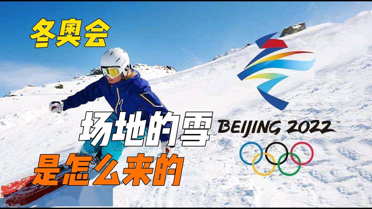 2010冬季奥运会在哪里？那年温哥华的雪，至今还在我心里烧