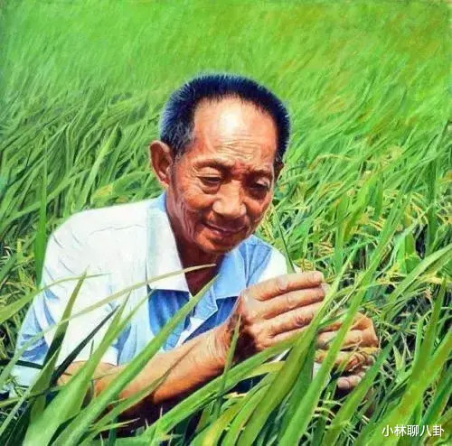 杨某因诋毁袁隆平院士科研成果被刑拘，一则关于尊重与责任的警钟