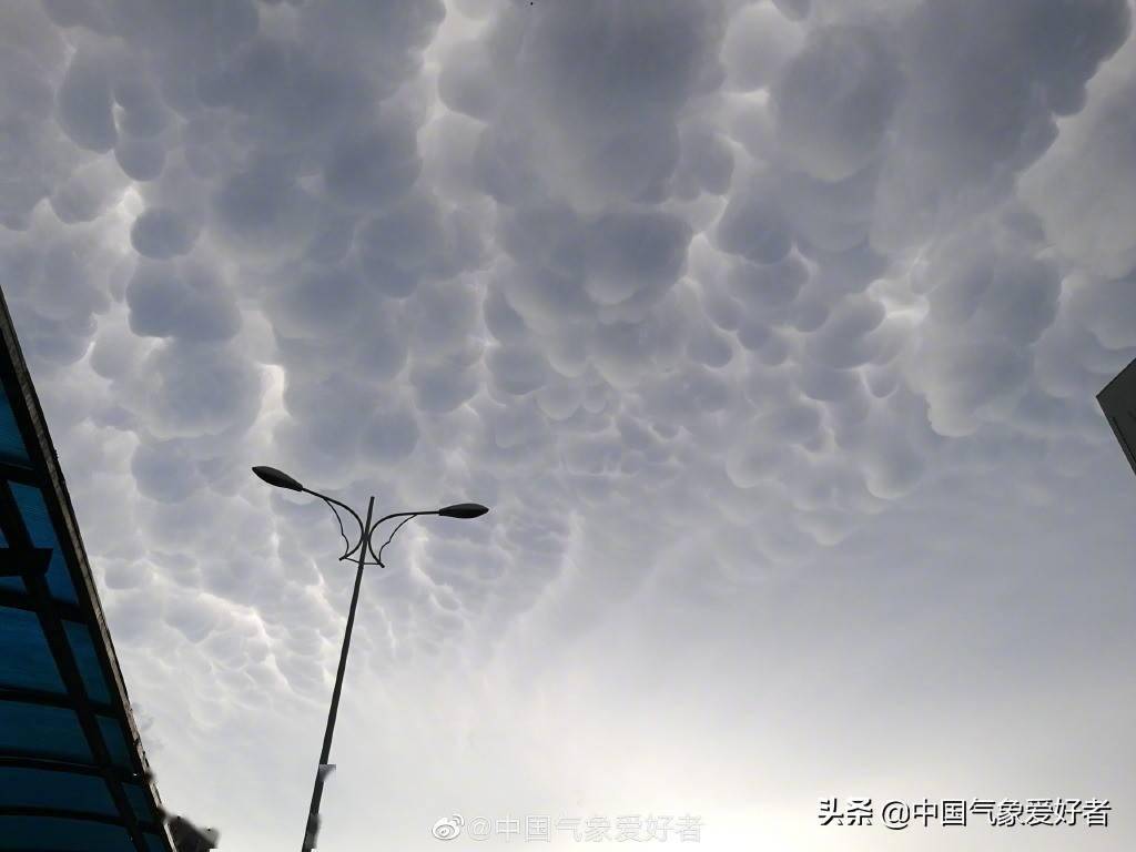 乳状云,特大暴雨的先知? 乳状云,特大暴雨的先知?
