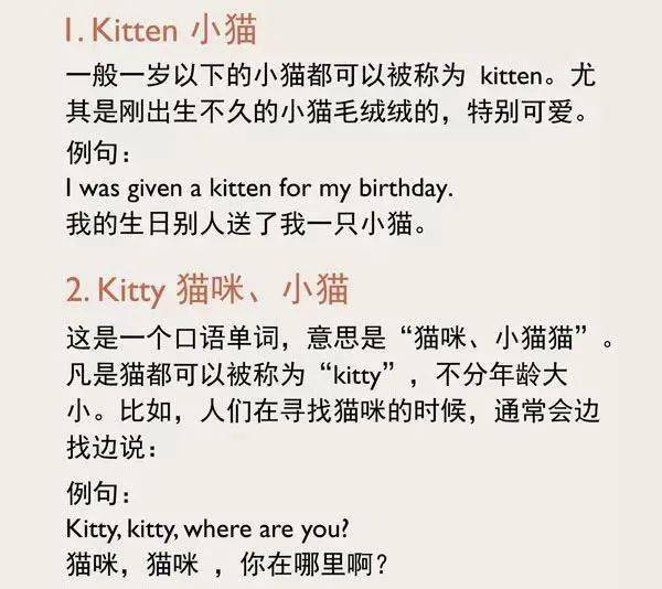 英文名Michael的寓意,一个故事,一个名字,一生信仰 英文名Michael的寓意,一个故事,一个名字,一生信仰